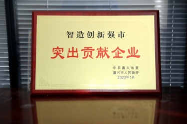兔年开门红 | 在嘉兴、平湖这两场新春第一会上，6686体育网页登录喜获多个荣誉