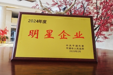 新春新景新气象 | 6686体育网页登录在平湖三干大会上喜摘荣誉！